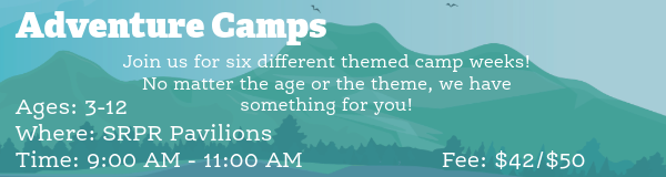 Ad Camp web